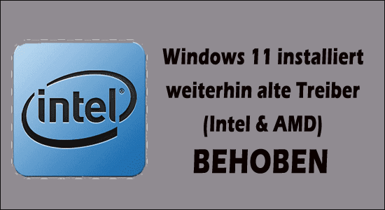 Windows 11 installiert weiterhin alte Treiber (Intel & AMD)