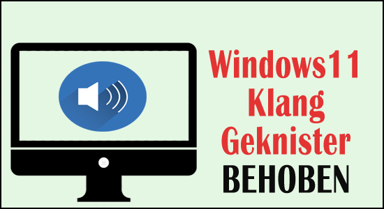Audio/Ton Geknister" unter Windows 11 