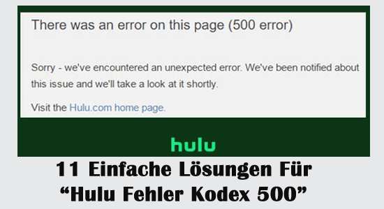 Hulu-Fehlercode 500
