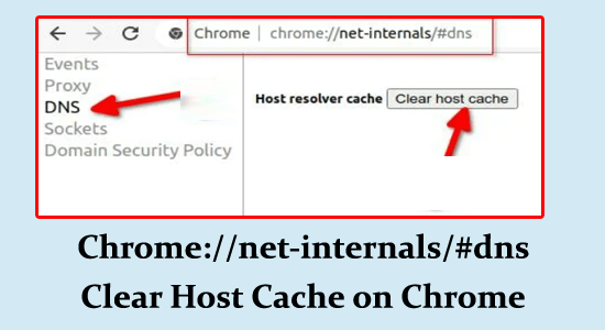 Chrome://net-internals/#dns Host-Cache löschen